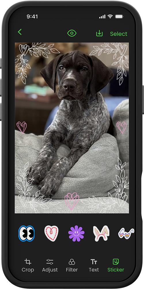 Front view with the companion app